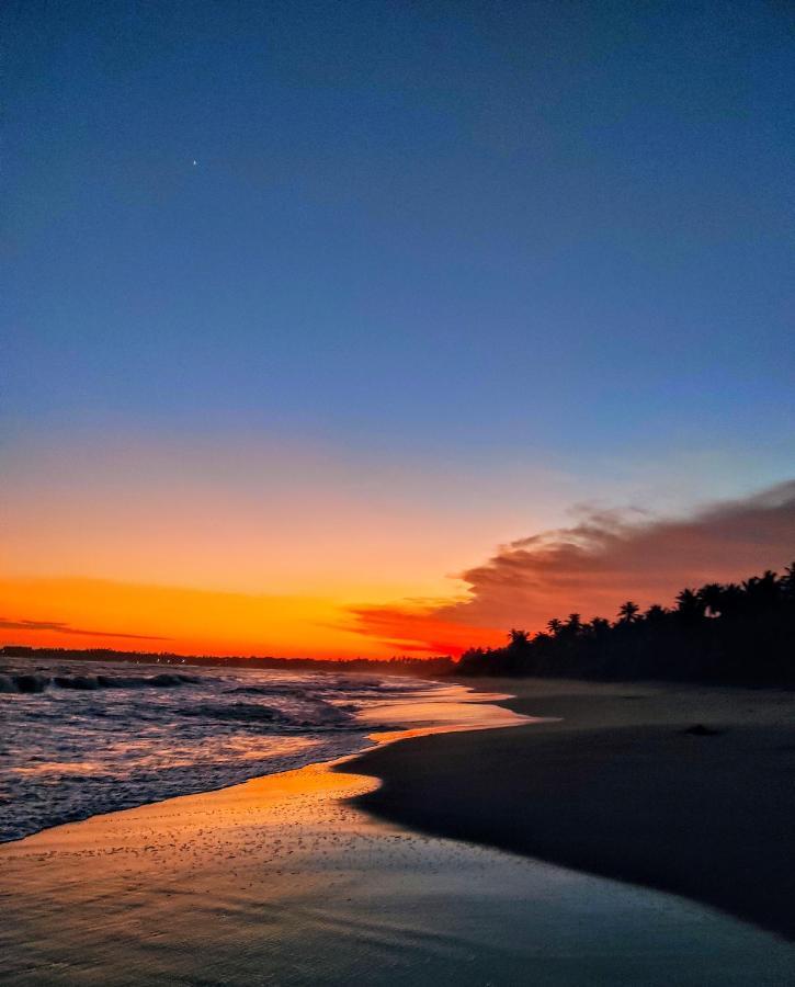 Sleeping Elephant Beach Resort Tangalle Kültér fotó